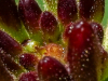 2mecheau_aug2026
