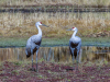 3reifke_100125